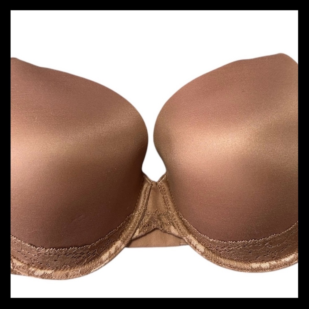 Body by Victoria Bundle